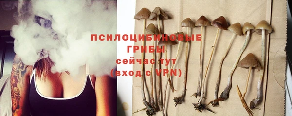 трава Абдулино