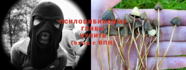 трава Абдулино