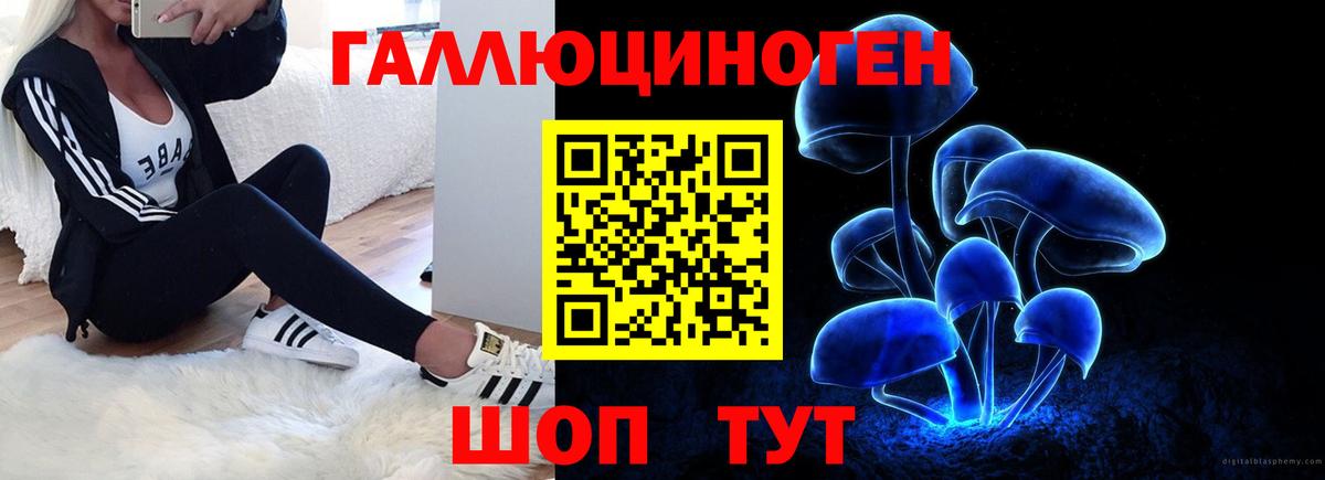 Галлюциногенные грибы MAGIC MUSHROOMS  Вход с VPN  Отрадный 